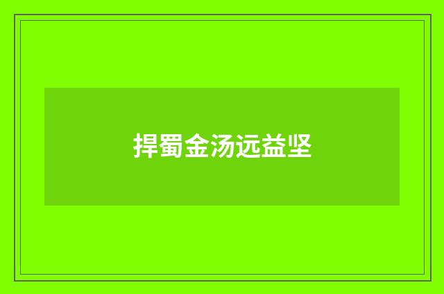 捍蜀金汤远益坚