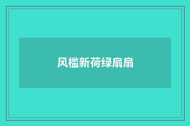 风槛新荷绿扇扇