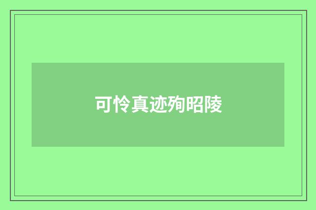 可怜真迹殉昭陵