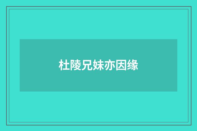 杜陵兄妹亦因缘