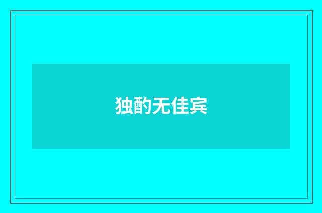 独酌无佳宾
