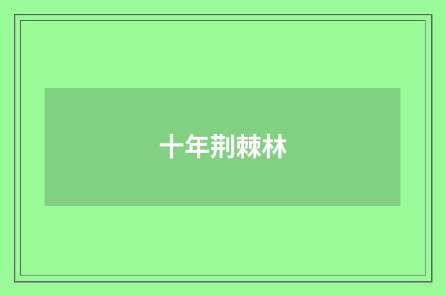 十年荆棘林