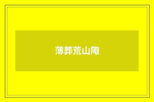 薄葬荒山陬