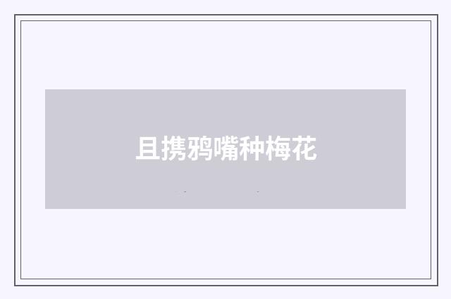且携鸦嘴种梅花