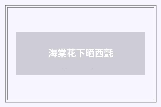 海棠花下晒西氈