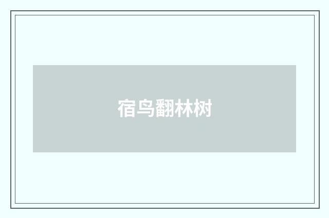 宿鸟翻林树