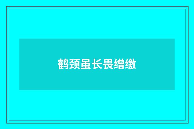 鹤颈虽长畏缯缴