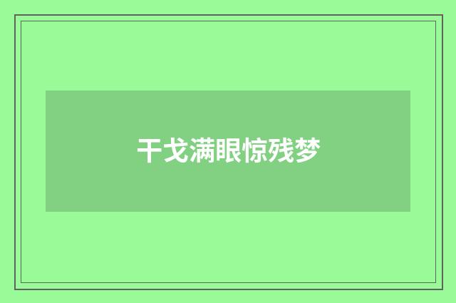 干戈满眼惊残梦
