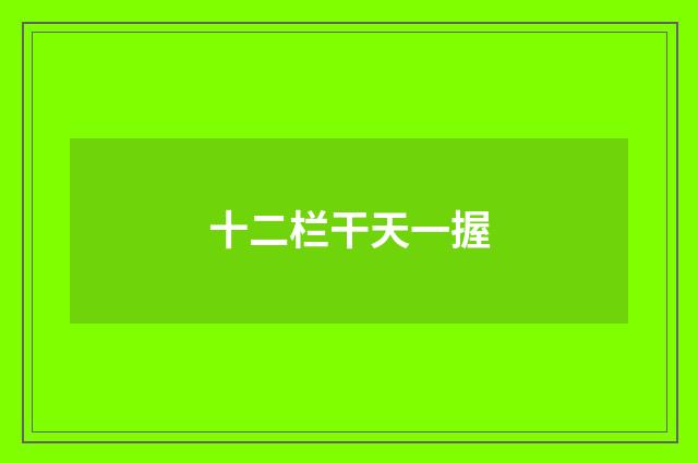 十二栏干天一握