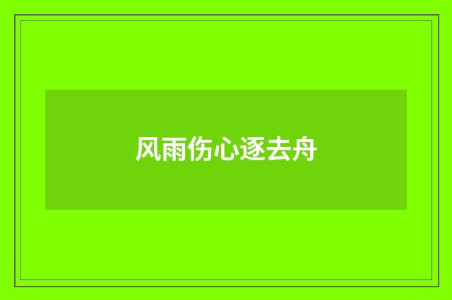 风雨伤心逐去舟