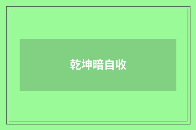 乾坤暗自收