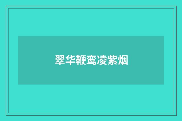 翠华鞭鸾凌紫烟
