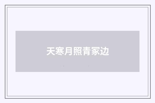 天寒月照青冢边