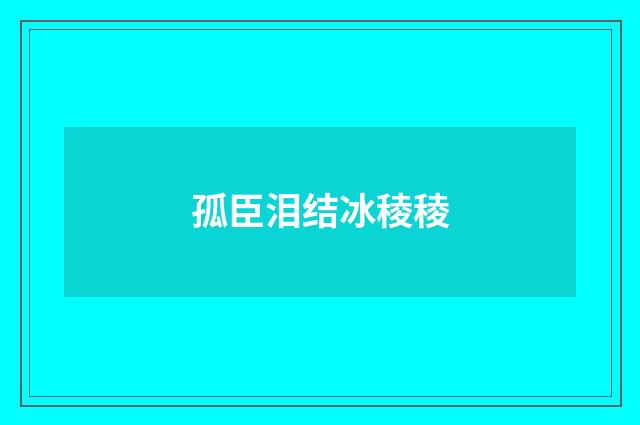 孤臣泪结冰稜稜