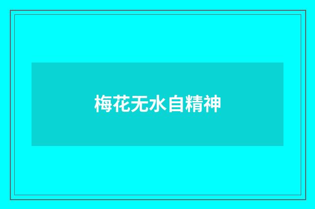 梅花无水自精神