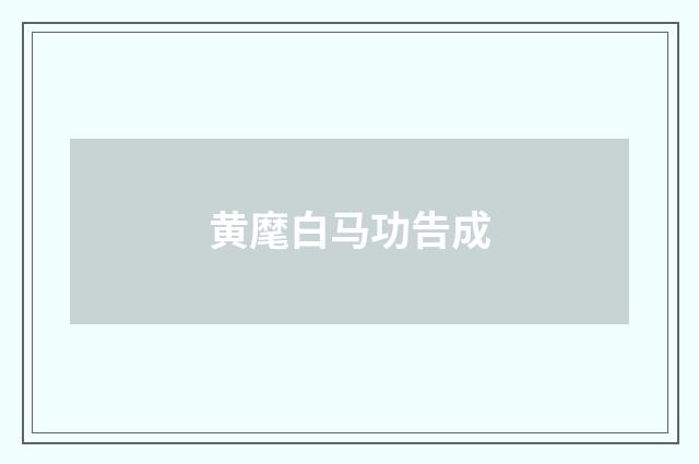 黄麾白马功告成