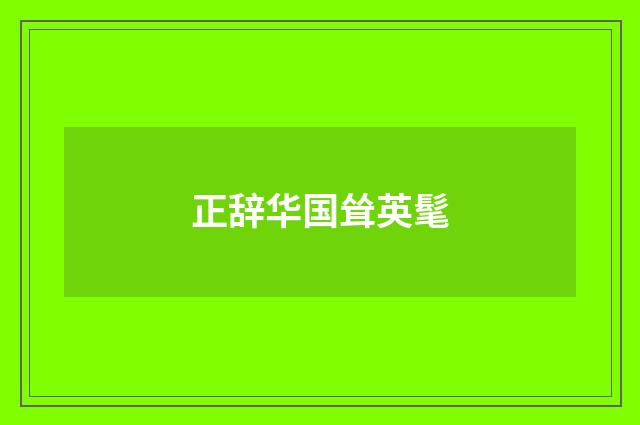 正辞华国耸英髦