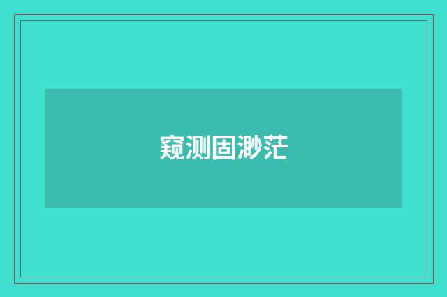 窥测固渺茫
