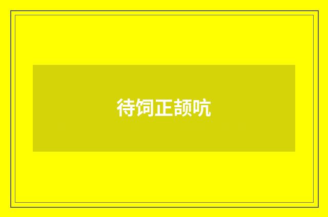 待饲正颉吭