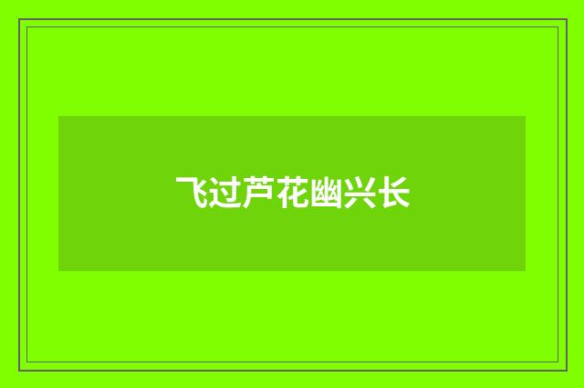 飞过芦花幽兴长