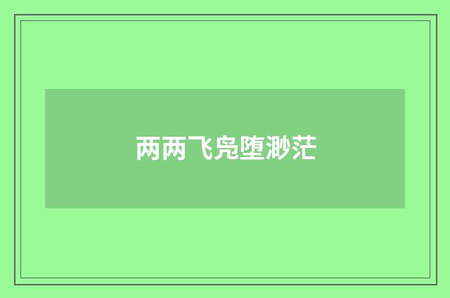 两两飞凫堕渺茫