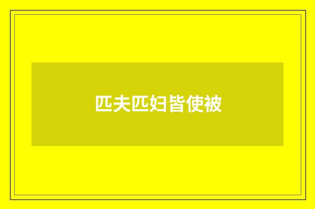匹夫匹妇皆使被