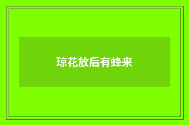 琼花放后有蜂来