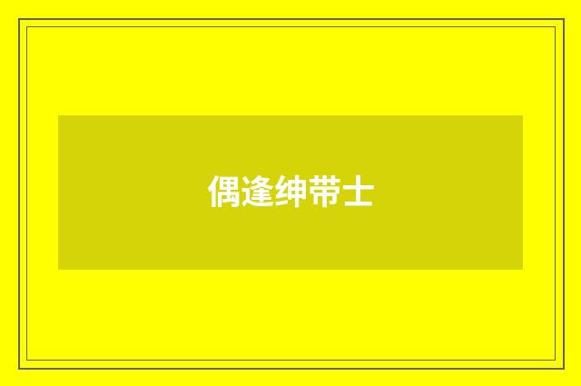偶逢绅带士