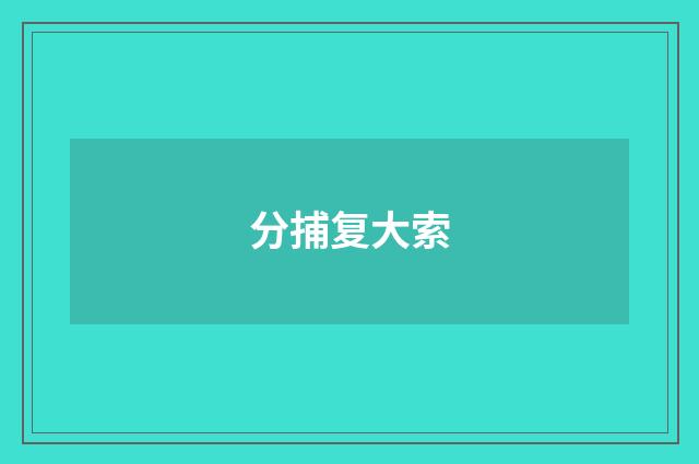分捕复大索