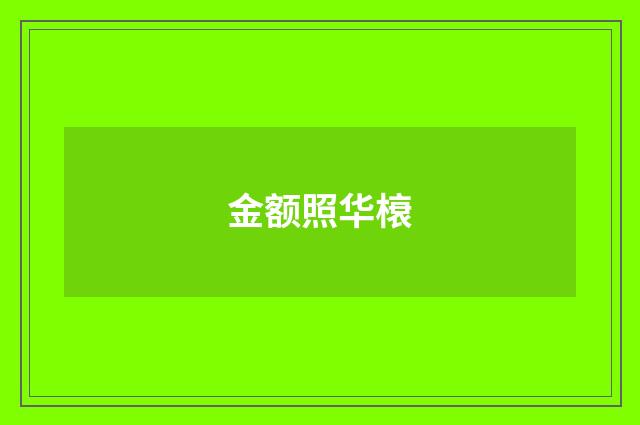 金额照华榱