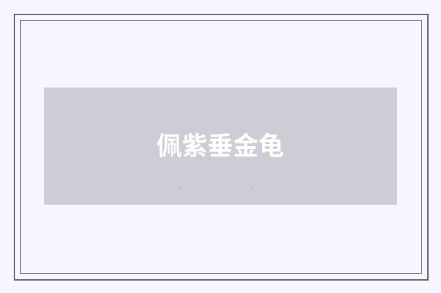 佩紫垂金龟