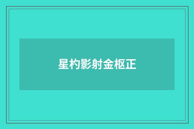 星杓影射金枢正