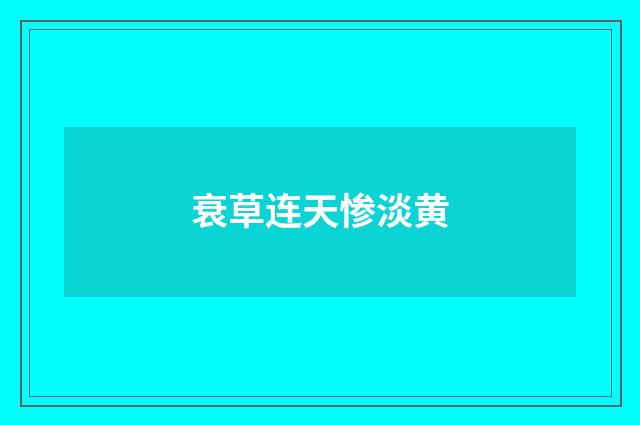 衰草连天惨淡黄