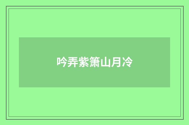 吟弄紫箫山月冷