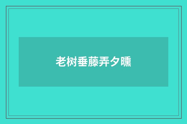 老树垂藤弄夕曛
