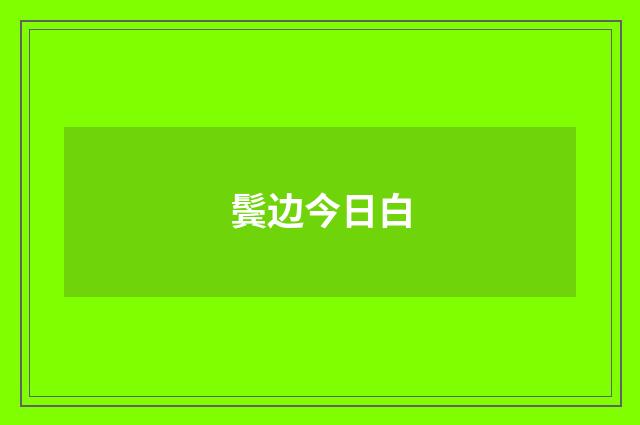 鬓边今日白