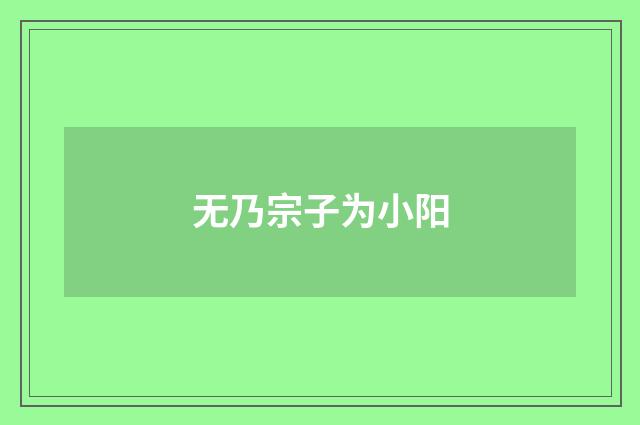 无乃宗子为小阳