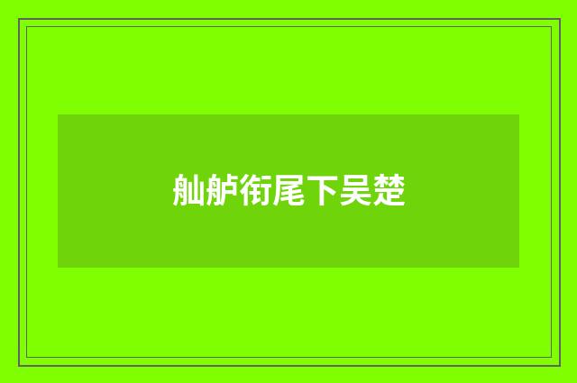 舢舻衔尾下吴楚