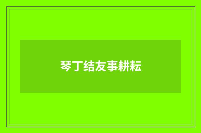 琴丁结友事耕耘