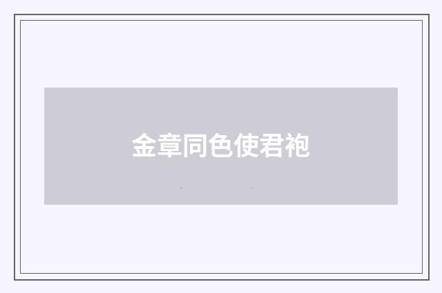 金章同色使君袍