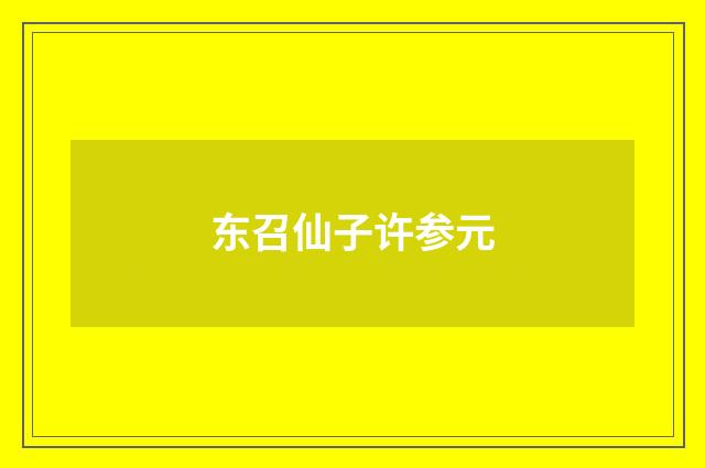 东召仙子许参元