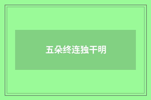 五朵终连独干明