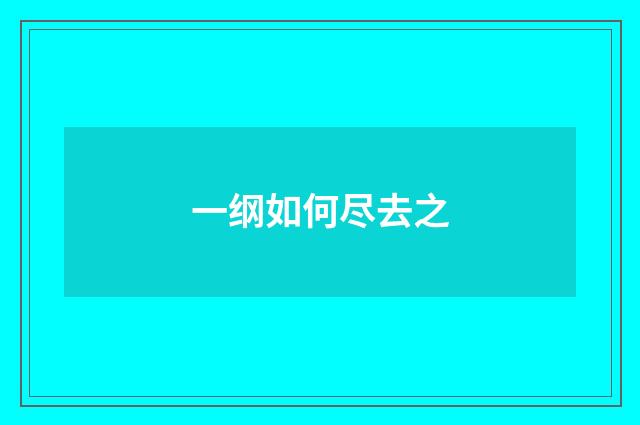 一纲如何尽去之