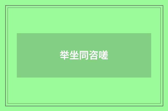 举坐同咨嗟