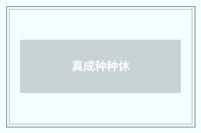 真成种种休
