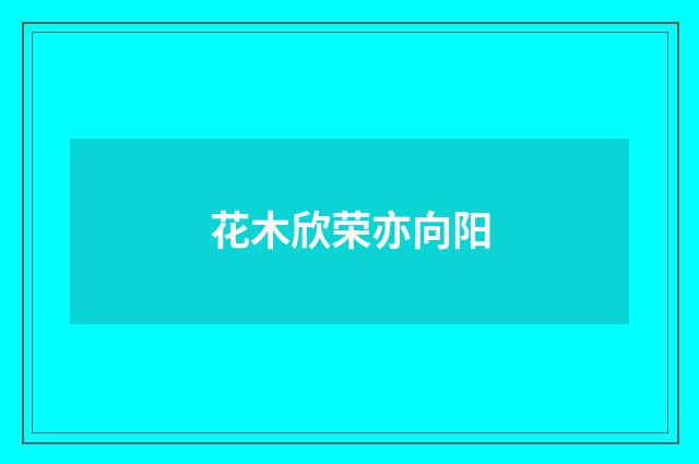 花木欣荣亦向阳