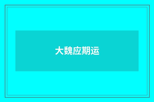 大魏应期运