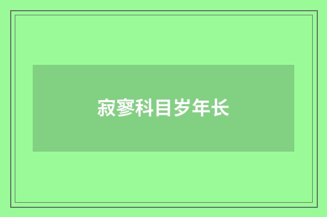 寂寥科目岁年长