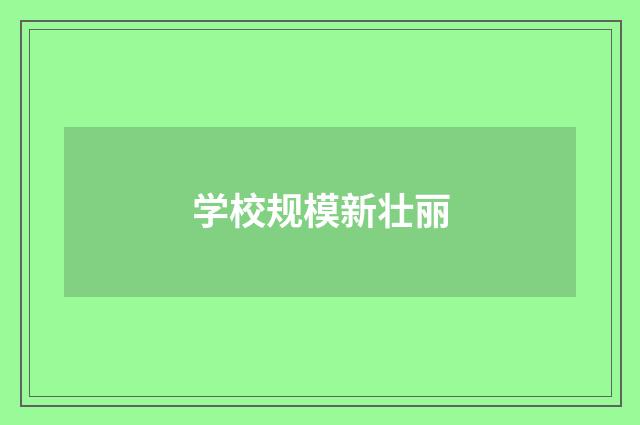 学校规模新壮丽
