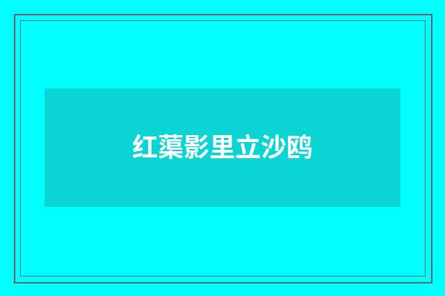 红蕖影里立沙鸥